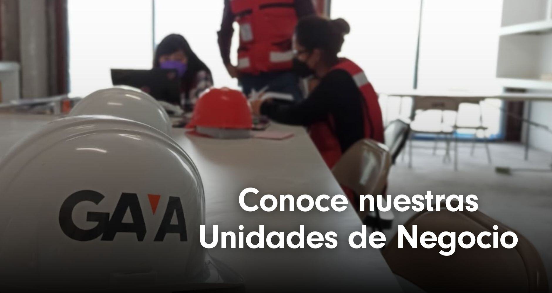 Unidades de Negocios